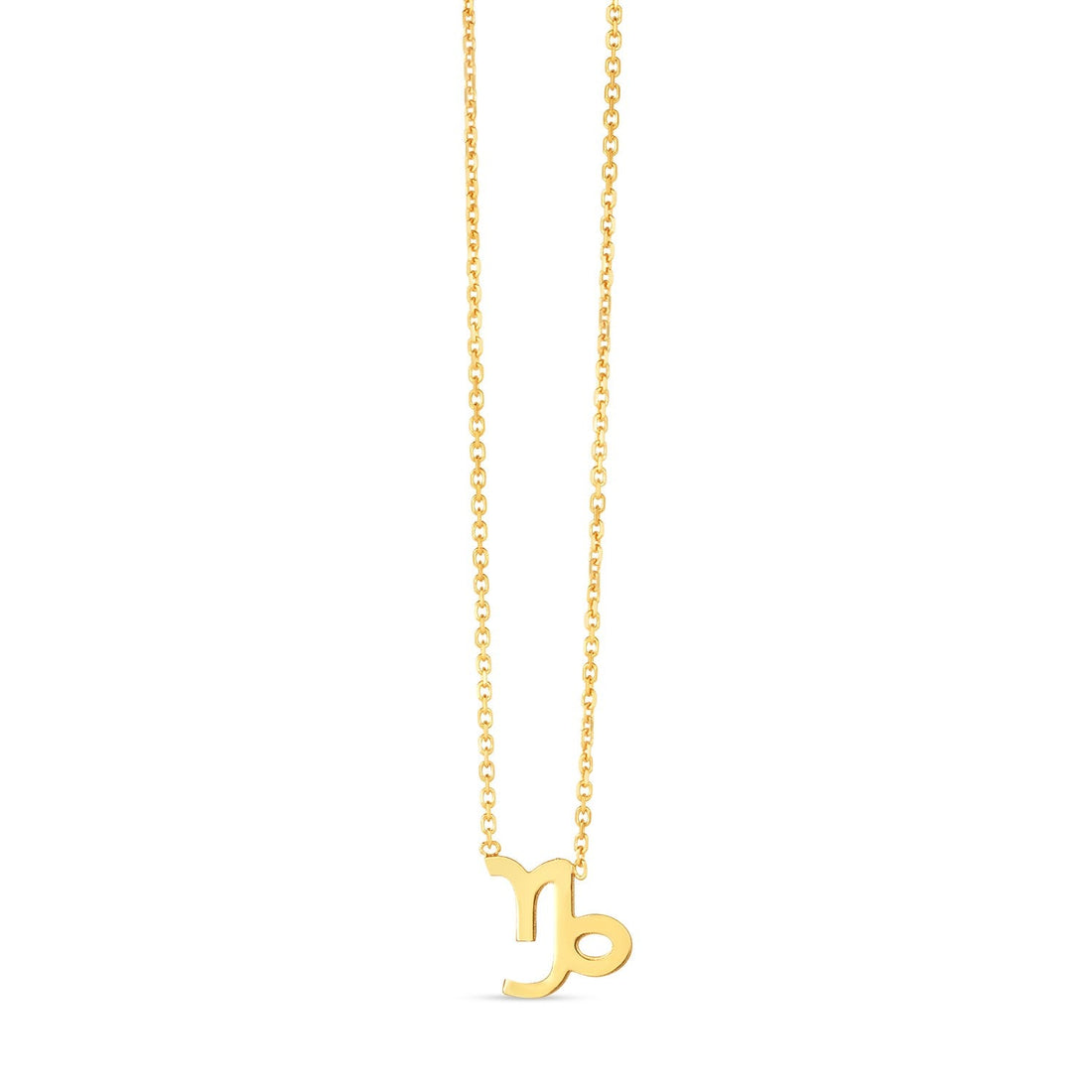 14K Yellow Gold Capricorn Necklace - Coolpeacock