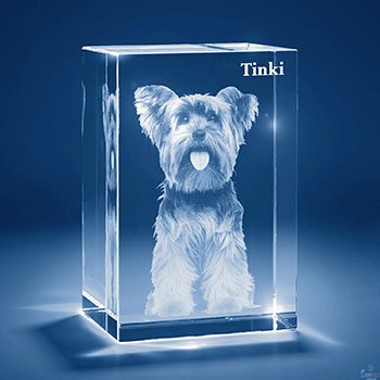 Personalized 2D/3D Photo Crystal Lamp With or Without Base - Coolpeacock