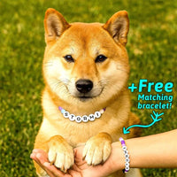 Personalized Pet Name Necklace – Comes with a Free Matching Bracelet - Coolpeacock