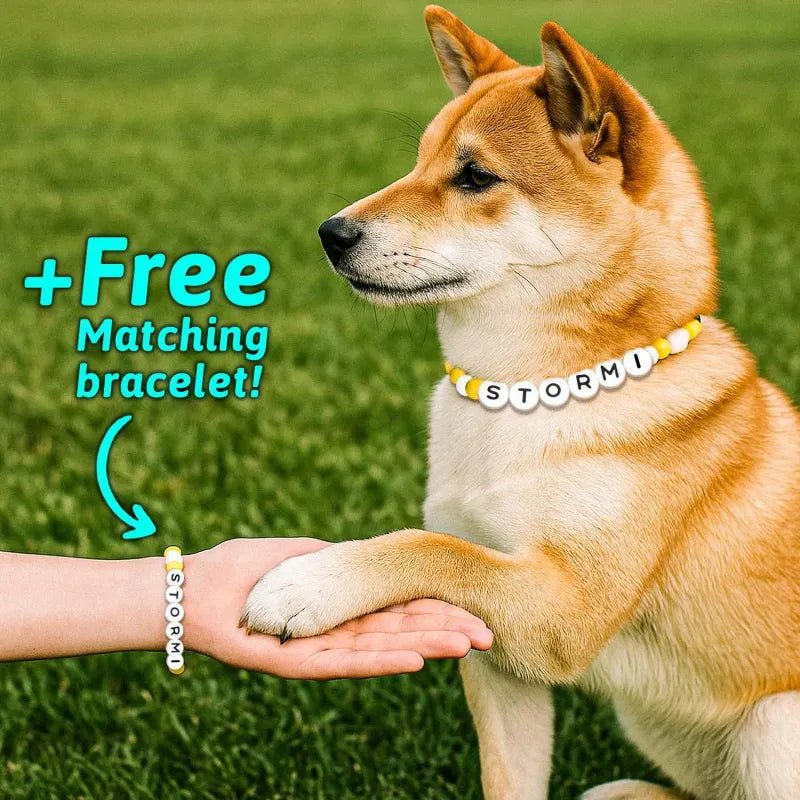 Personalized Pet Name Necklace – Comes with a Free Matching Bracelet - Coolpeacock