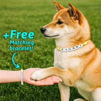 Personalized Pet Name Necklace – Comes with a Free Matching Bracelet - Coolpeacock