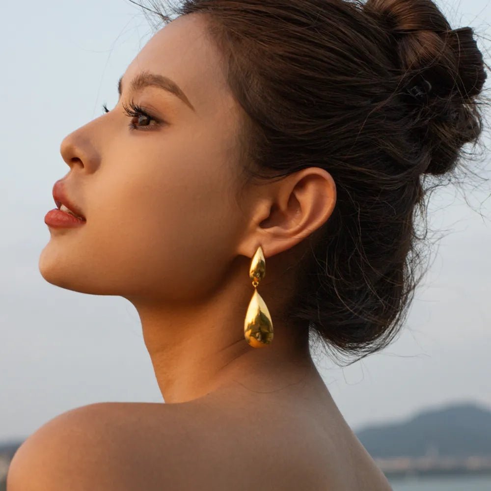 Stainless Steel Dangle Earrings - Coolpeacock