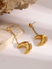 Stainless Steel Moon Dangle Earrings - Coolpeacock