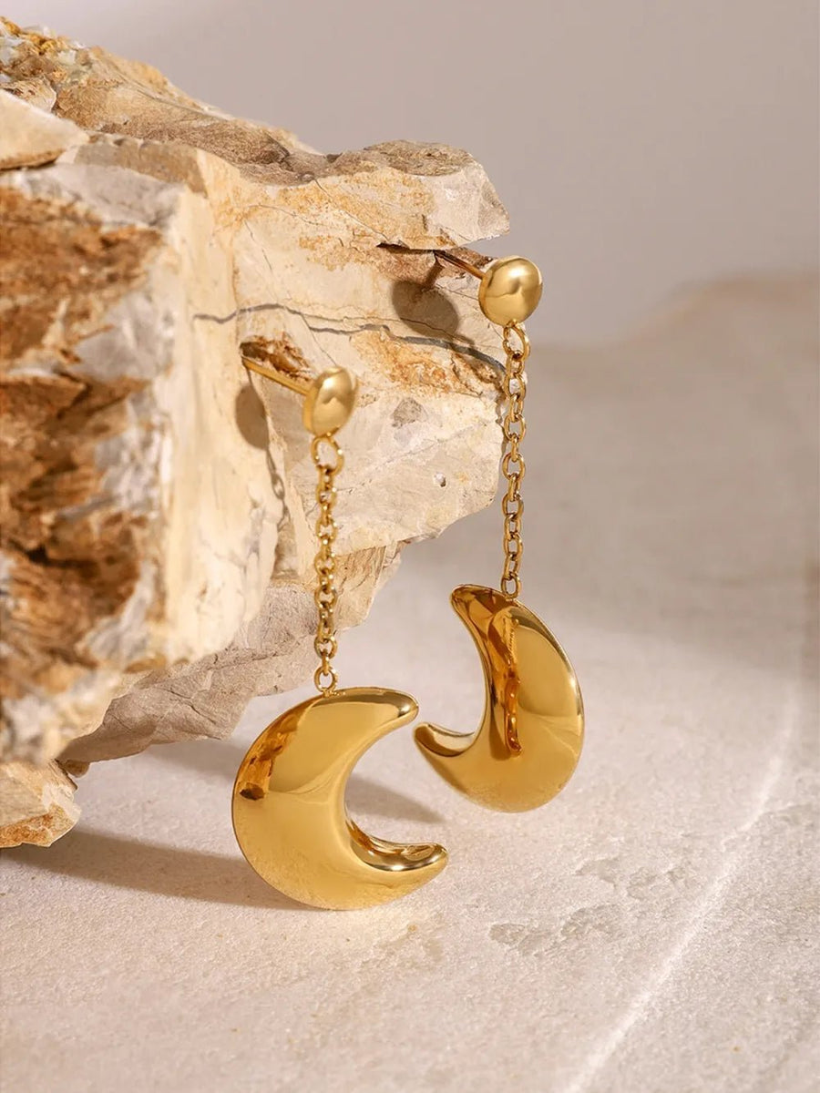 Stainless Steel Moon Dangle Earrings - Coolpeacock